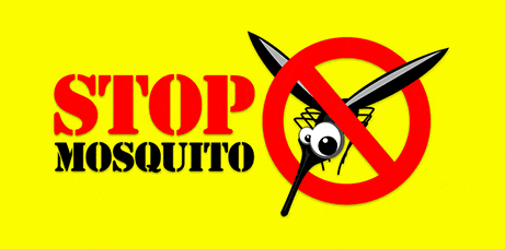 stopmosquito